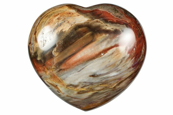 Polished Triassic Petrified Wood Heart - Madagascar #355559